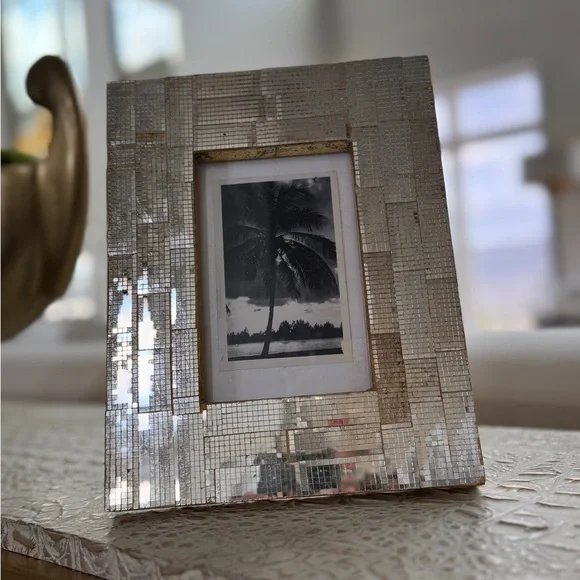 Elegant & Vintage Miami disco ball frame & antique photo of palm trees in Miami. - Picture 3 of 10